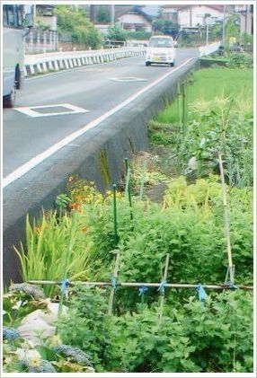 歩道写真２.jpg